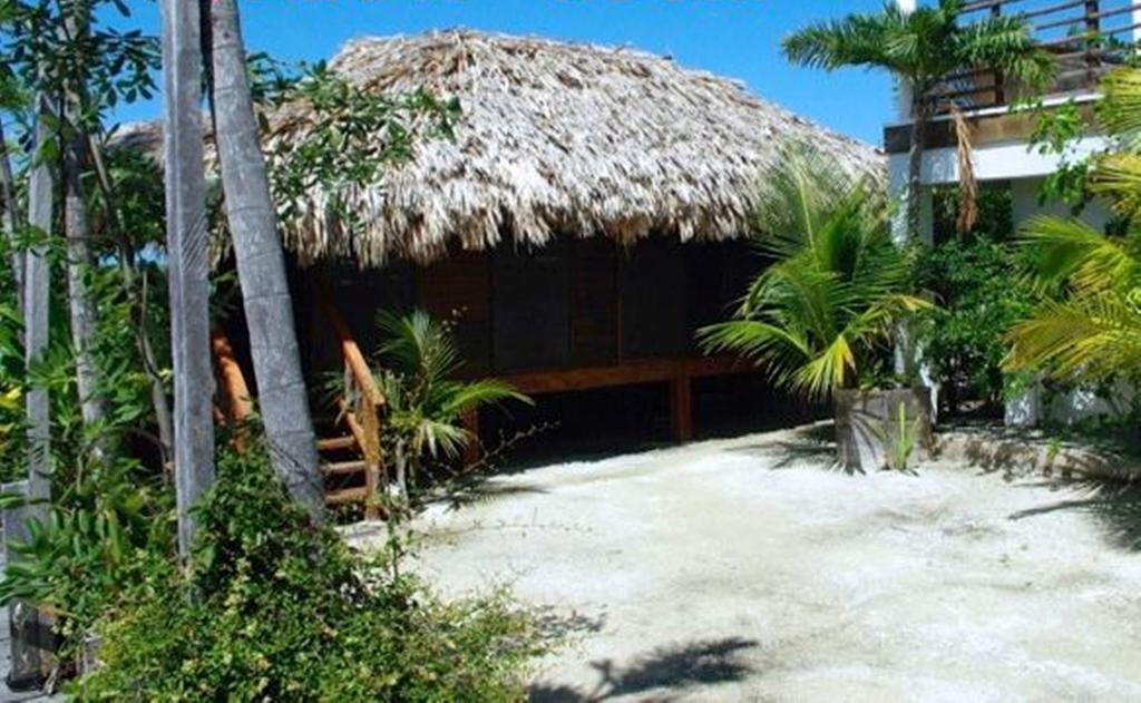 サン・ペドロ Bamboo House Belizeヴィラ 部屋 写真